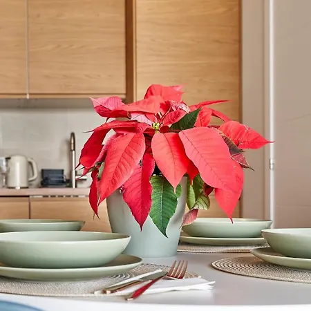 Casa La Luz コスタ・カルマ